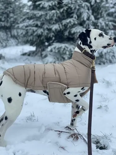 Staey Grace læderhalsbånd nubuck Nature messing