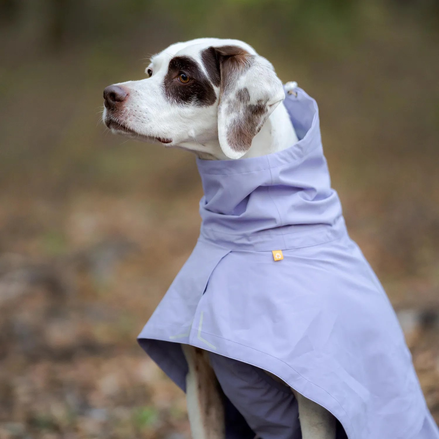 Woolly Wolf Cloudshell regnjakke hund lavendel