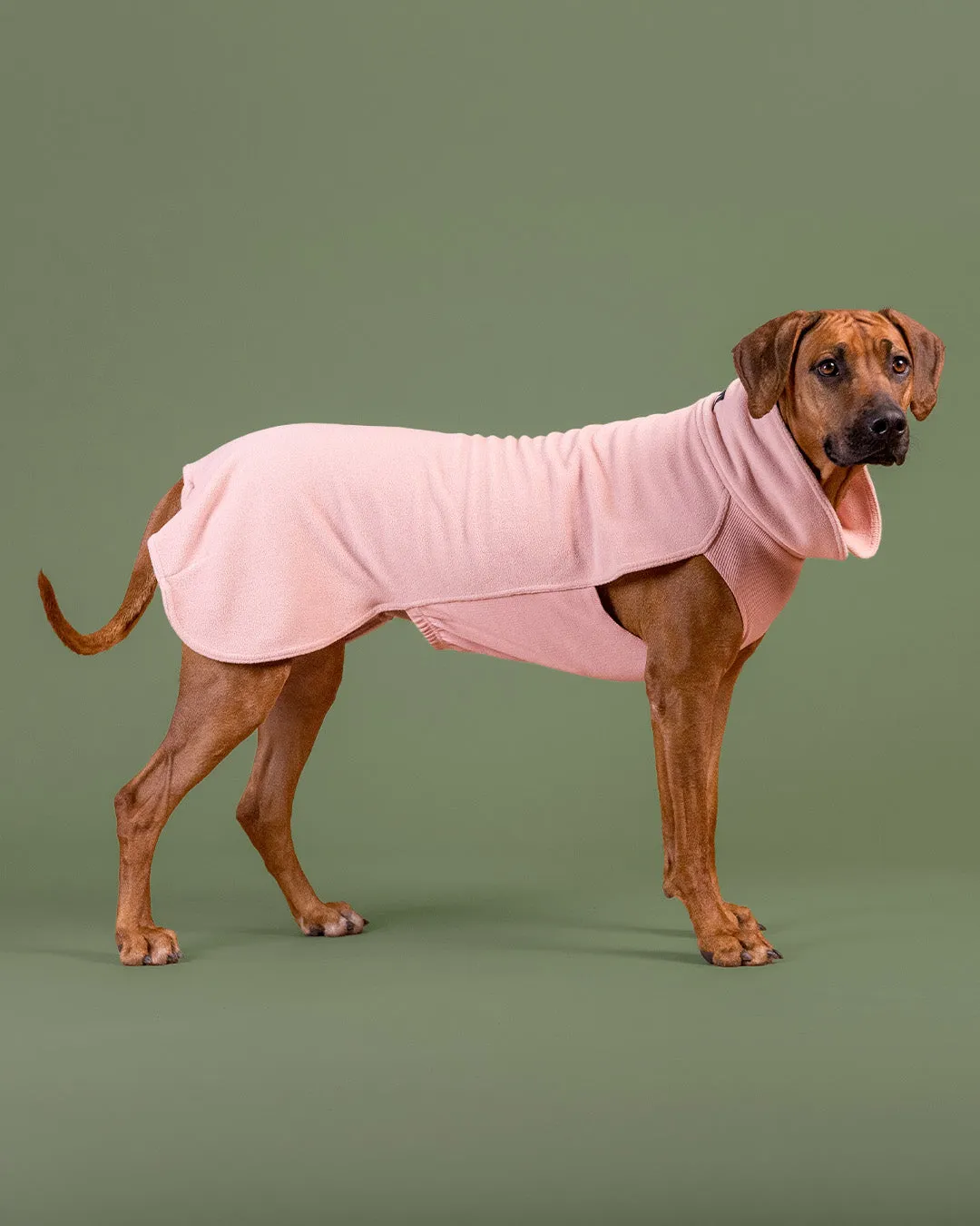 Paikka Seawool Shirt Pale Pink hundetrøje varm
