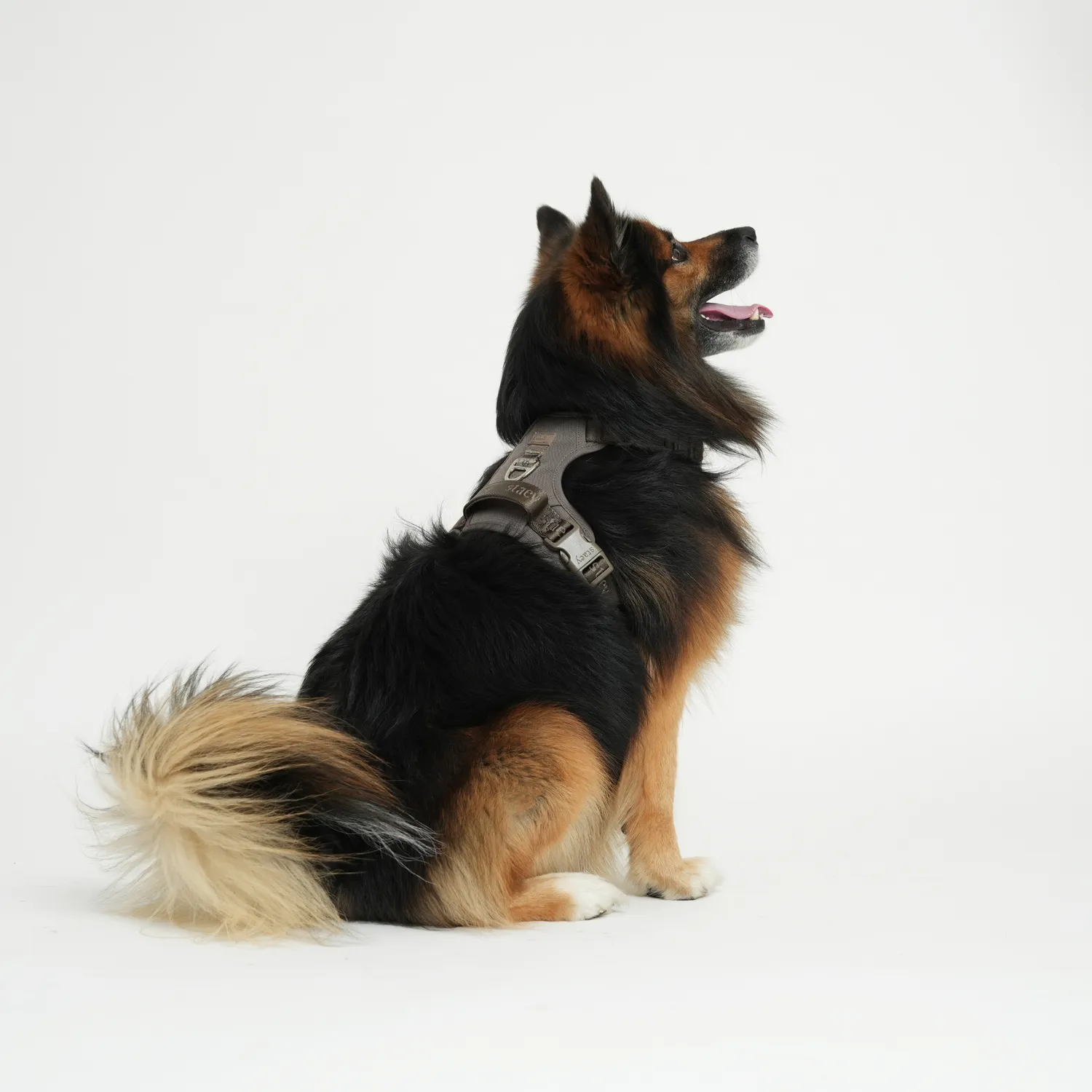 Staey Elma Active Hundesele Taupe – Justerbar Sele