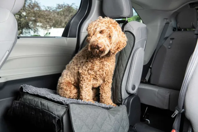 Dog Gone Smart Dirty Dog bilsædeovertræk med hængekøje og microfiber