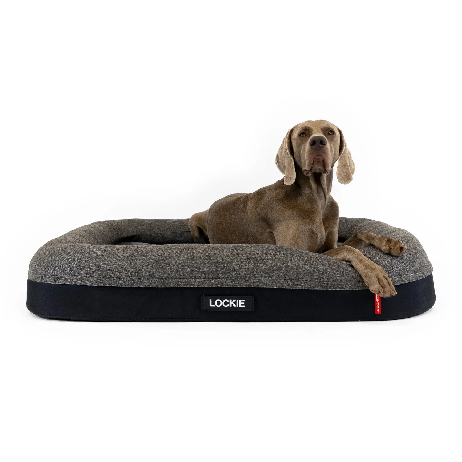 EzyDog Ortho Calm Elite hundeseng 2 i 1 koksgrå