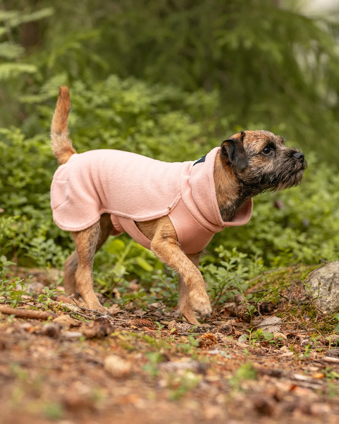 Paikka Seawool Shirt Pale Pink hundetrøje varm
