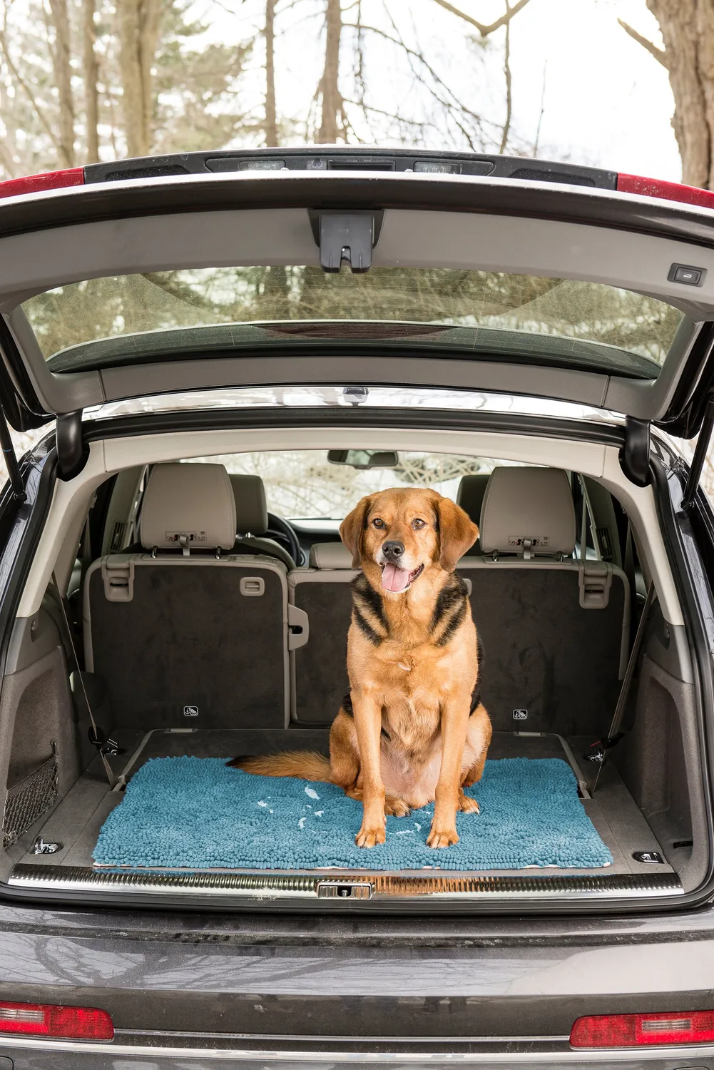 Dog Gone Smart Dirty Dog dørmåtte super absorberende