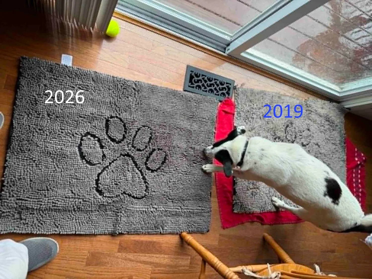 Dog Gone Smart Dirty Dog dørmåtte super absorberende