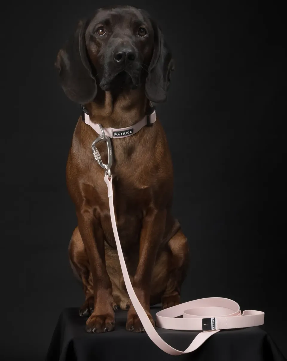 Paikka Glow hundesnor rosa 180 cm reflekterende