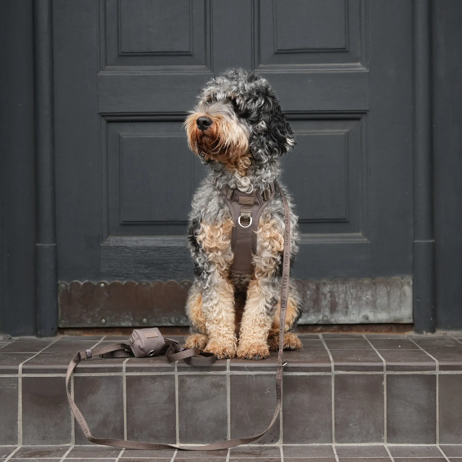 Staey Elma Active Hundesele Taupe – Justerbar Sele