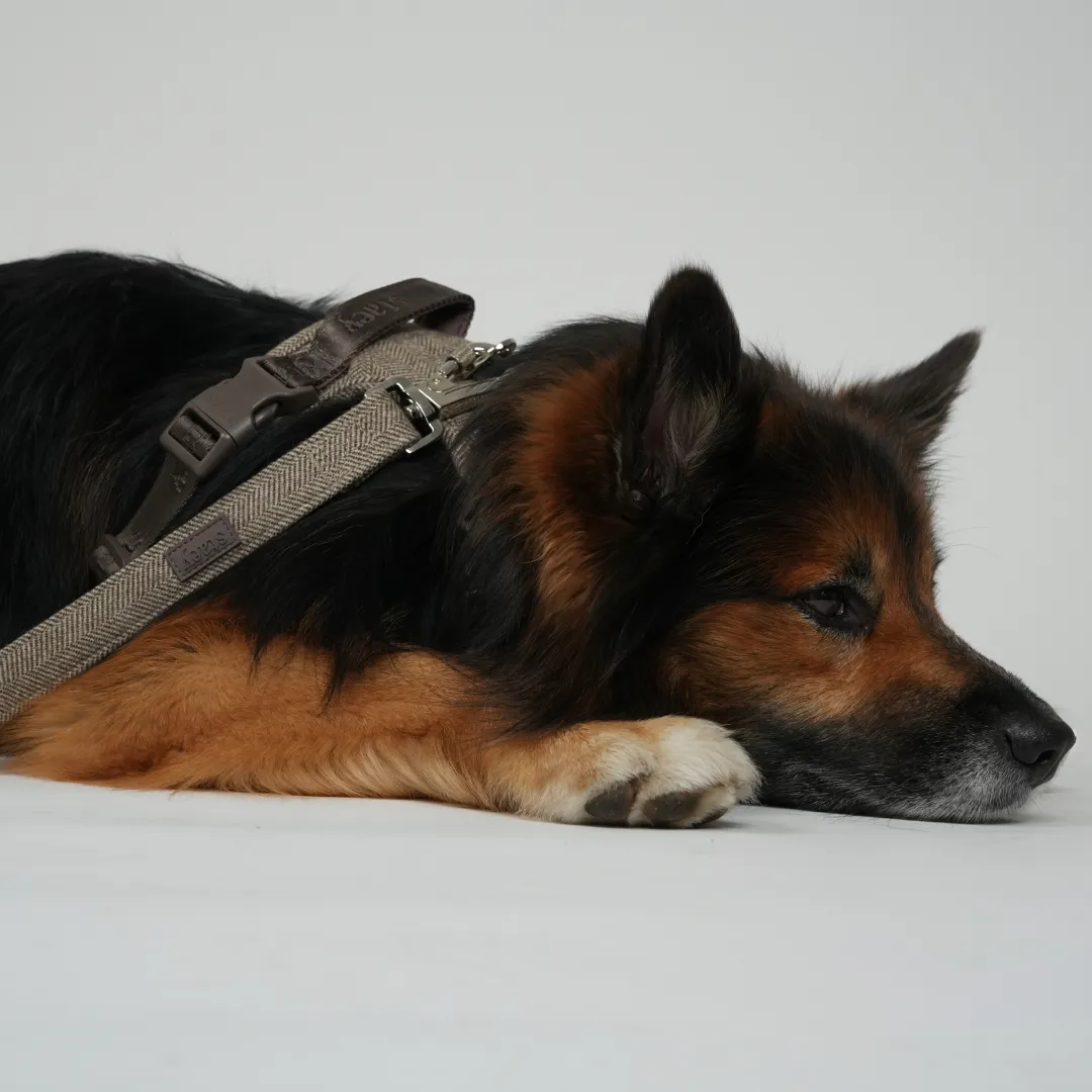 Staey Elma hundesnor mocca 152 cm rustfri