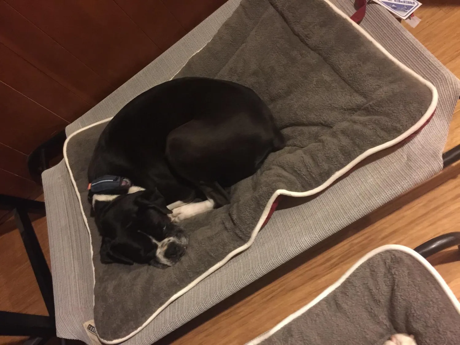 Dog Gone Smart Chenille Sleeper hundetæppe vandafvisende