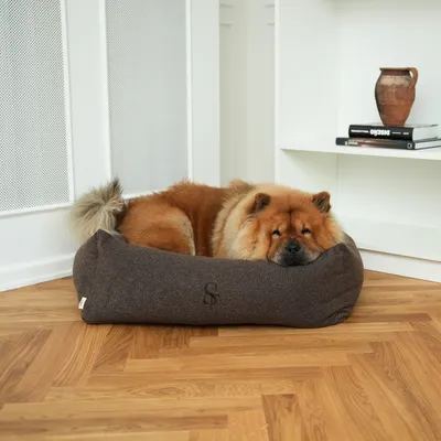 Staey Vera hundeseng Chestnut Bouclé memory foam