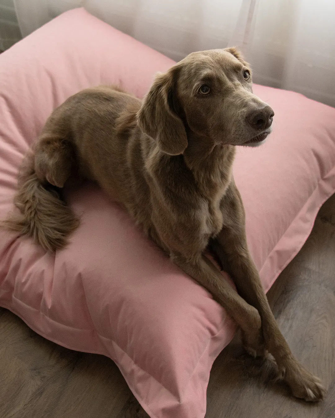Paikka Lazy hundeseng Taupe blød 140x120