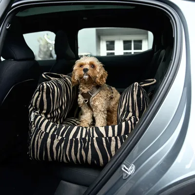 Staey Lara bilsæde til hund Zebra 2.0 op til 18 kg