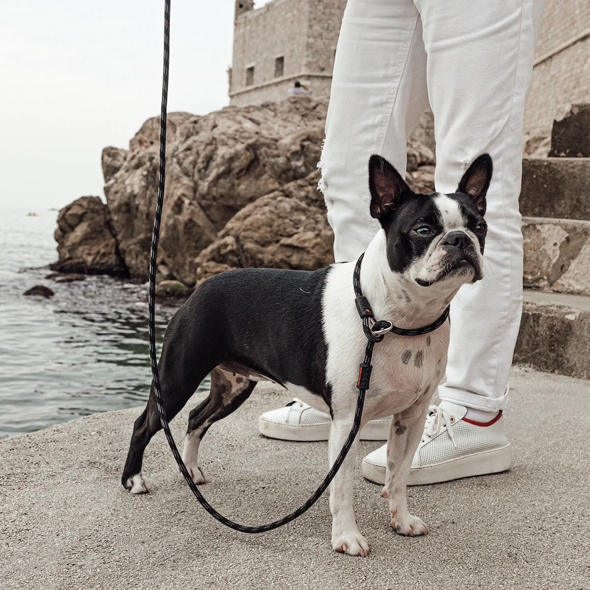 EzyDog Luca Leash Lite rebline sort 170 cm træning