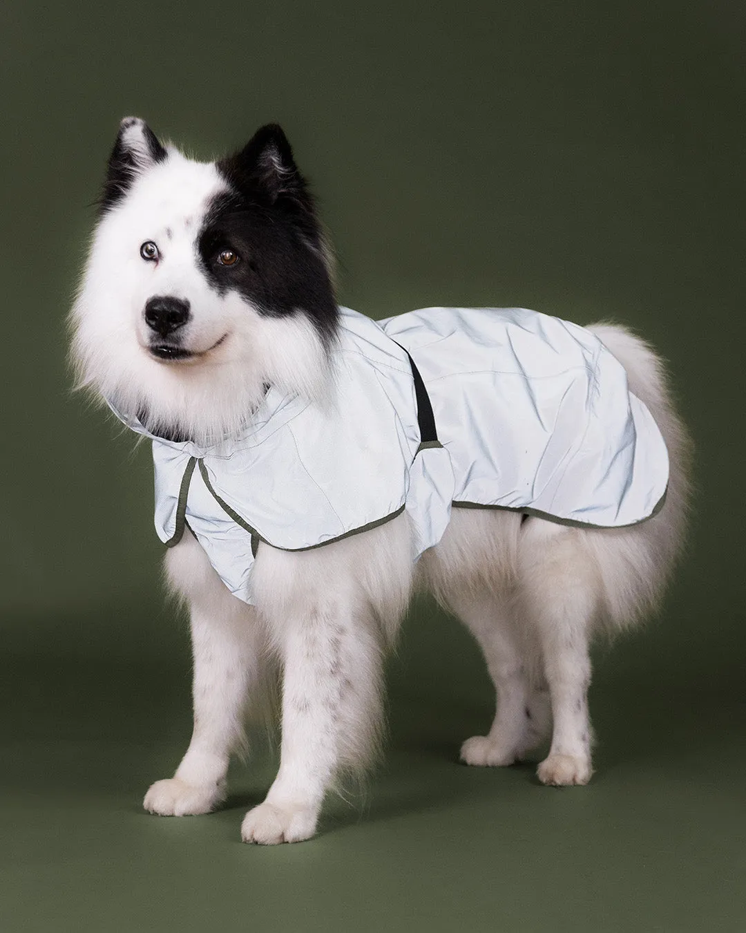 Paikka Reflective Shell Jacket Olive refleksjakke