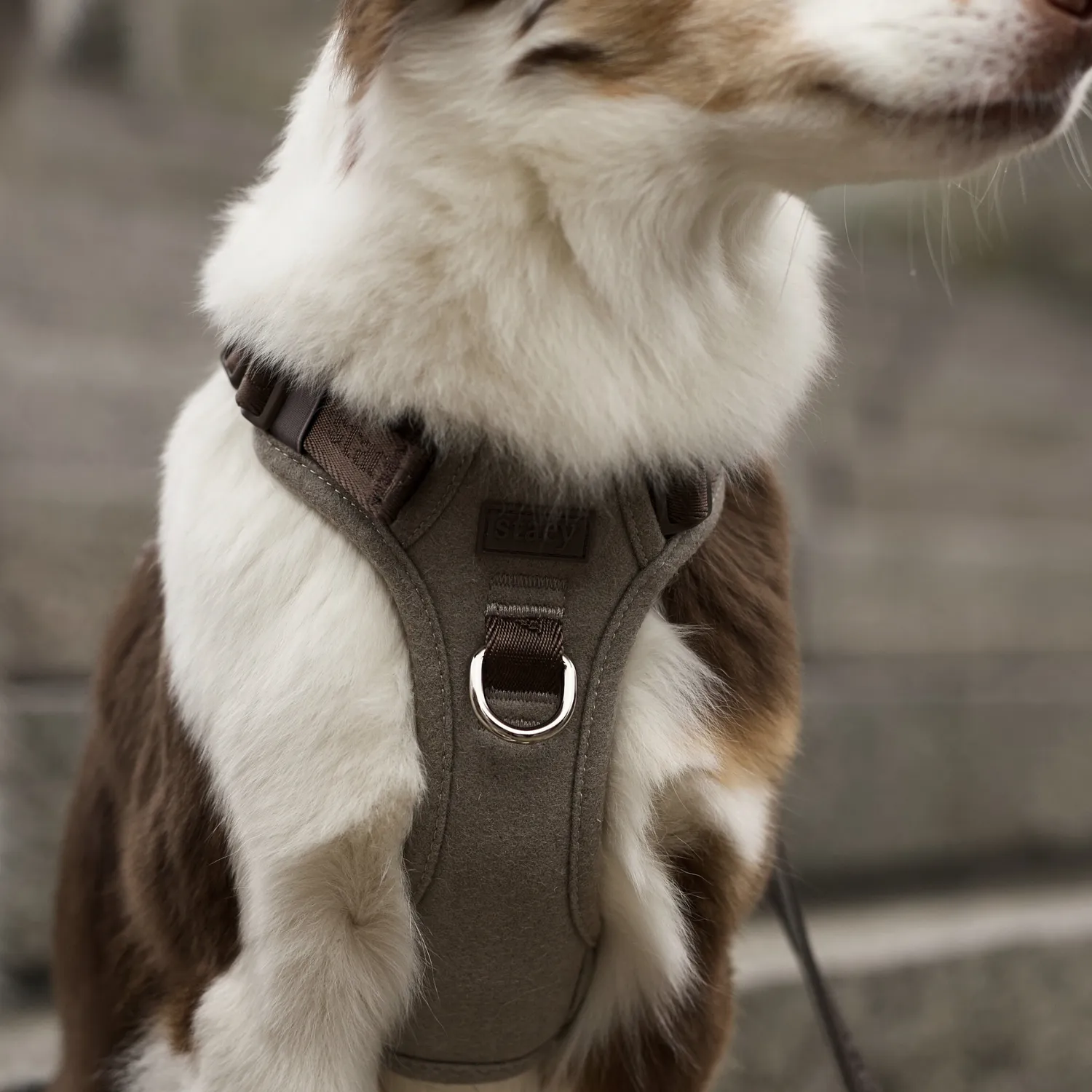 Staey Elma hundesele sand ergonomisk