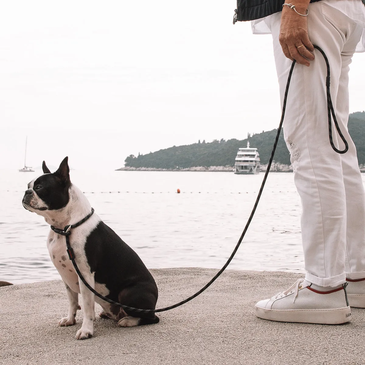 EzyDog Luca Leash Lite rebline sort 170 cm træning