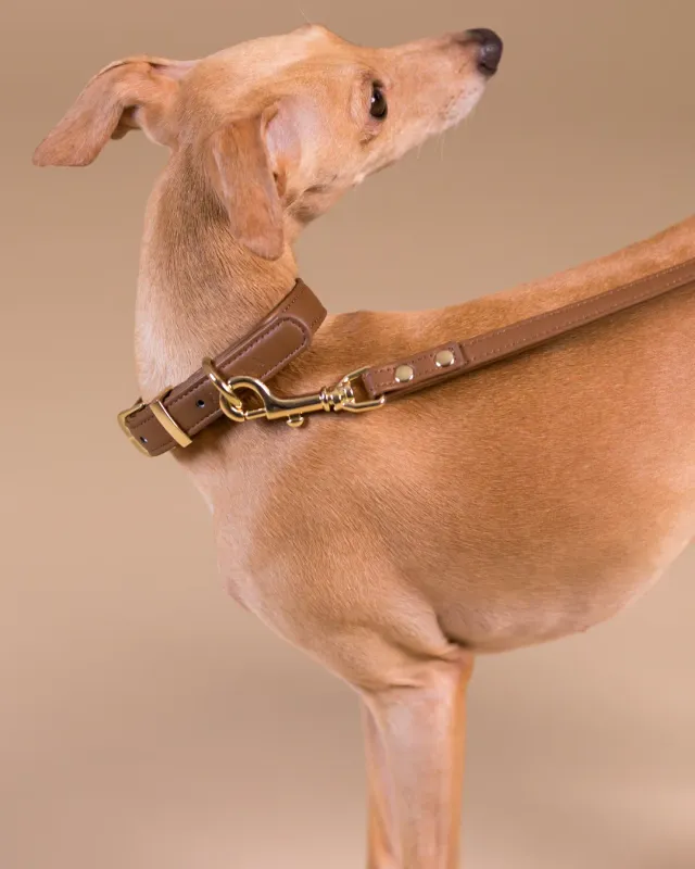Paikka Lignify hundesnor brun S 180 cm