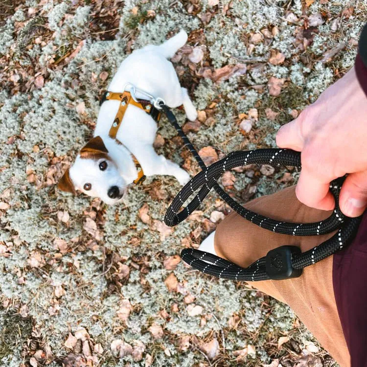 Woolly Wolf Rope Leash hundesnor sort 180 cm