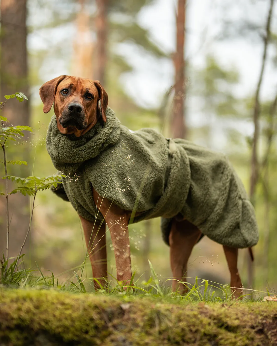 Paikka Sherpa Shirt hundetrøje oliven Seawool varm