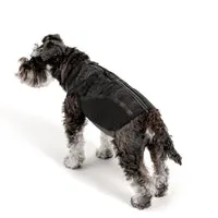 EzyDog Thermax løbevest til hund varm