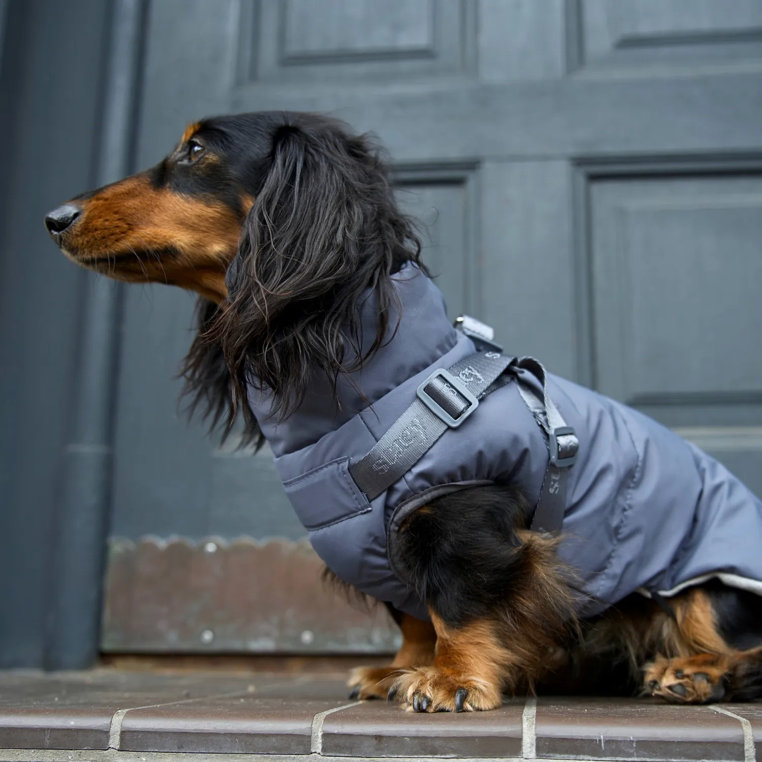 Staey Vera hundefrakke Dusty Blue m. sele