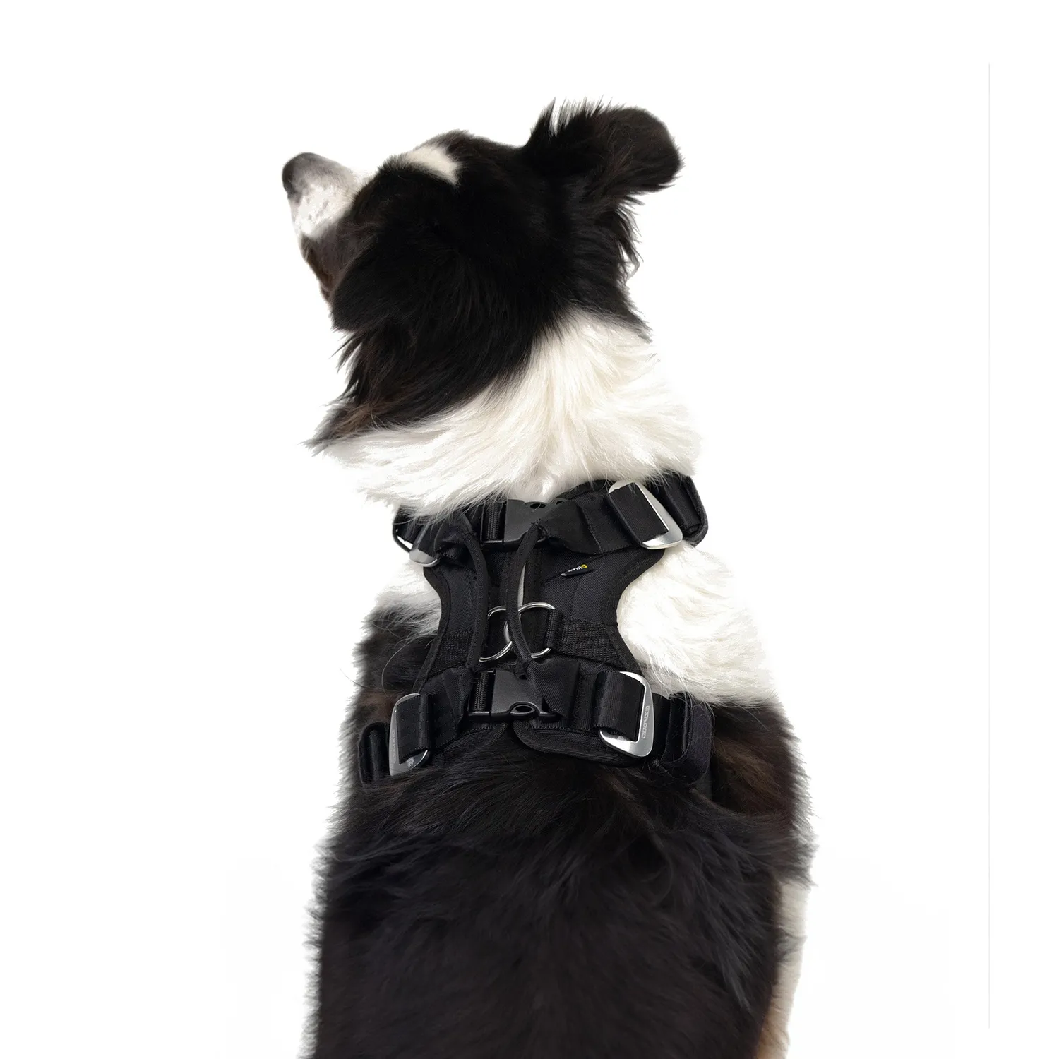 EzyDog Drive bilsele sort med selestropper