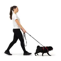 EzyDog X-Link hundesele dobbeltclip foret