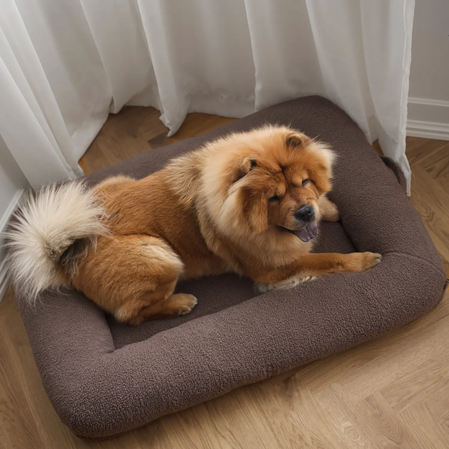 Staey Clara ortopædisk hundeseng memoryskum teddy