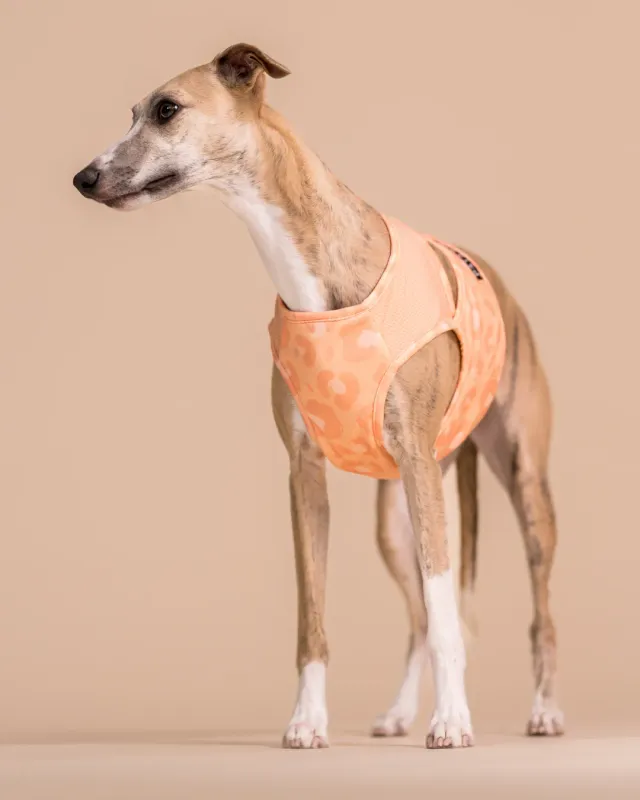 Paikka Cool Vest Peach kølevest fersken