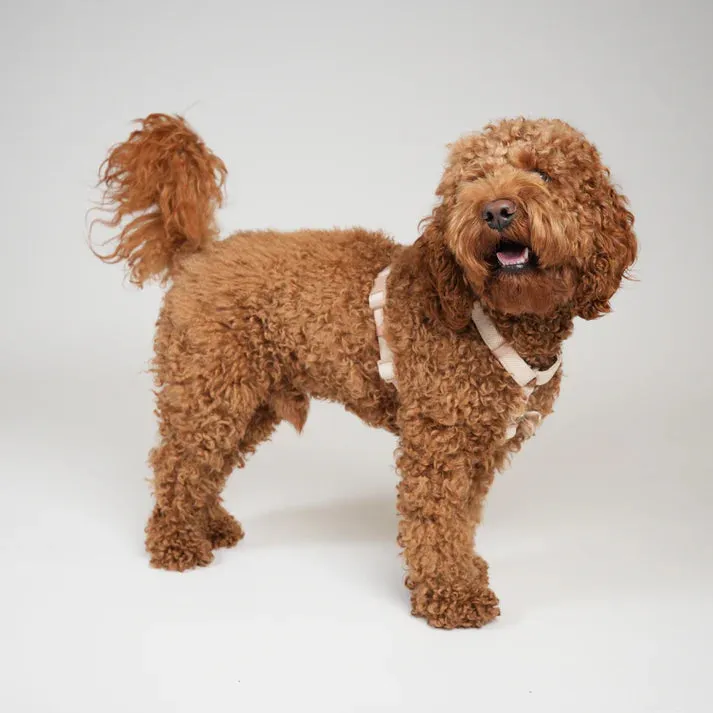 Staey Tara H-sele hundesele light rose letvægt