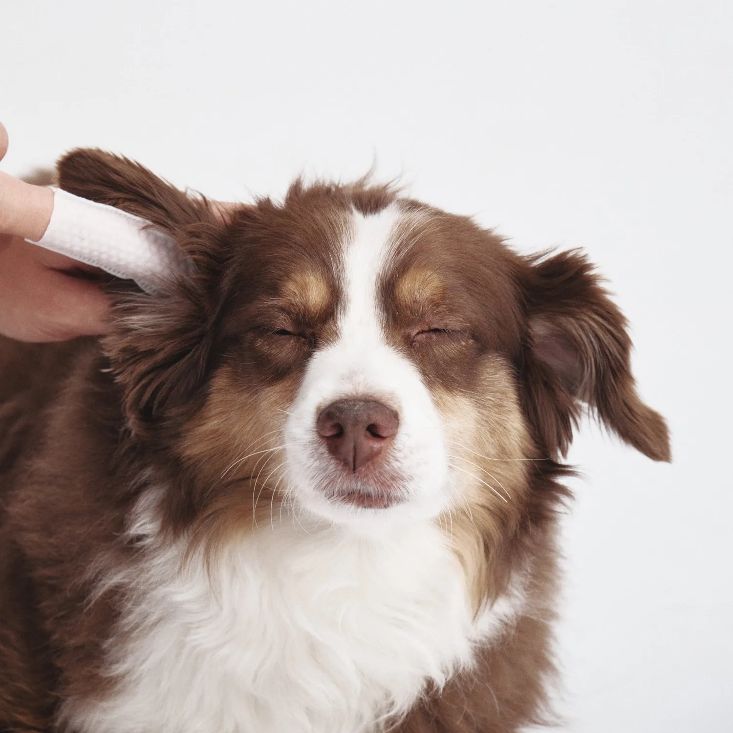 Goo-eez Premium Ear øreservietter til hund 60 stk mild