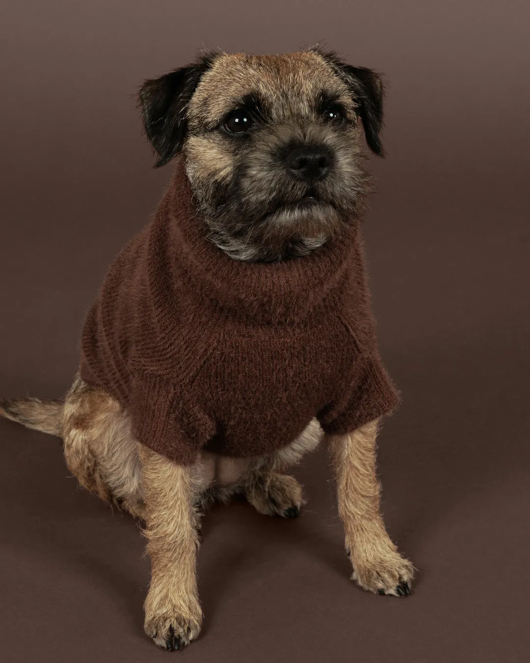 Paikka Furry Knit Sweater Choco hundesweater brun blød