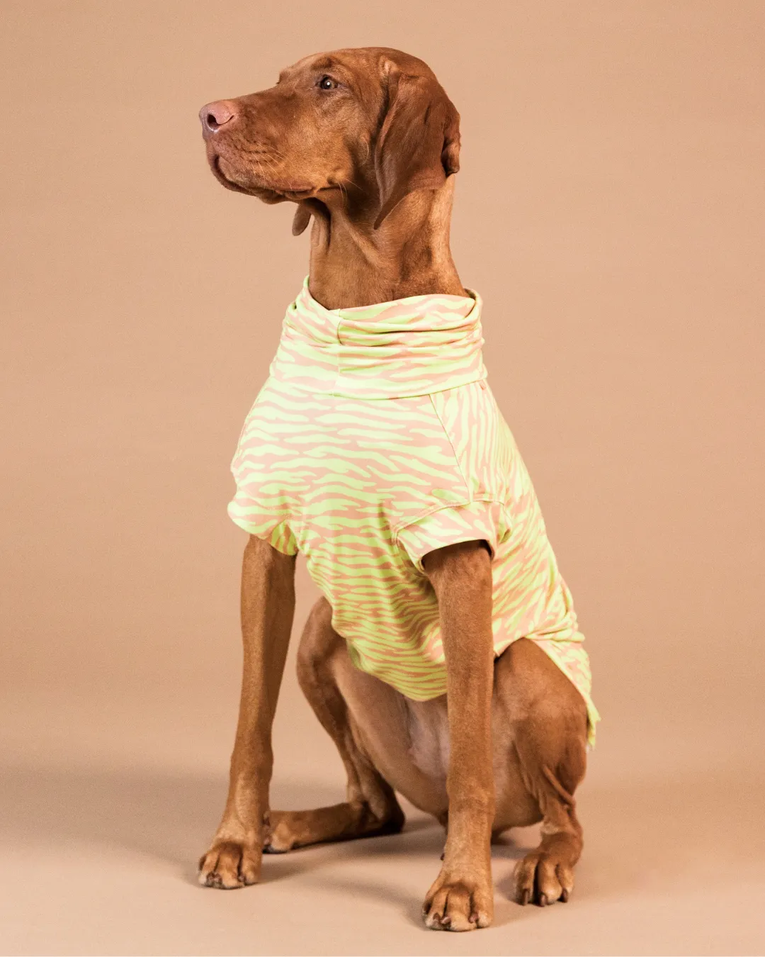 Paikka UV & Bug hundetrøje matcha UPF50+