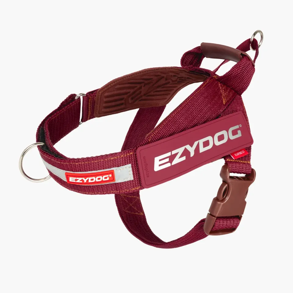 EzyDog Express Palm Beach Ave hundesele ocean blue