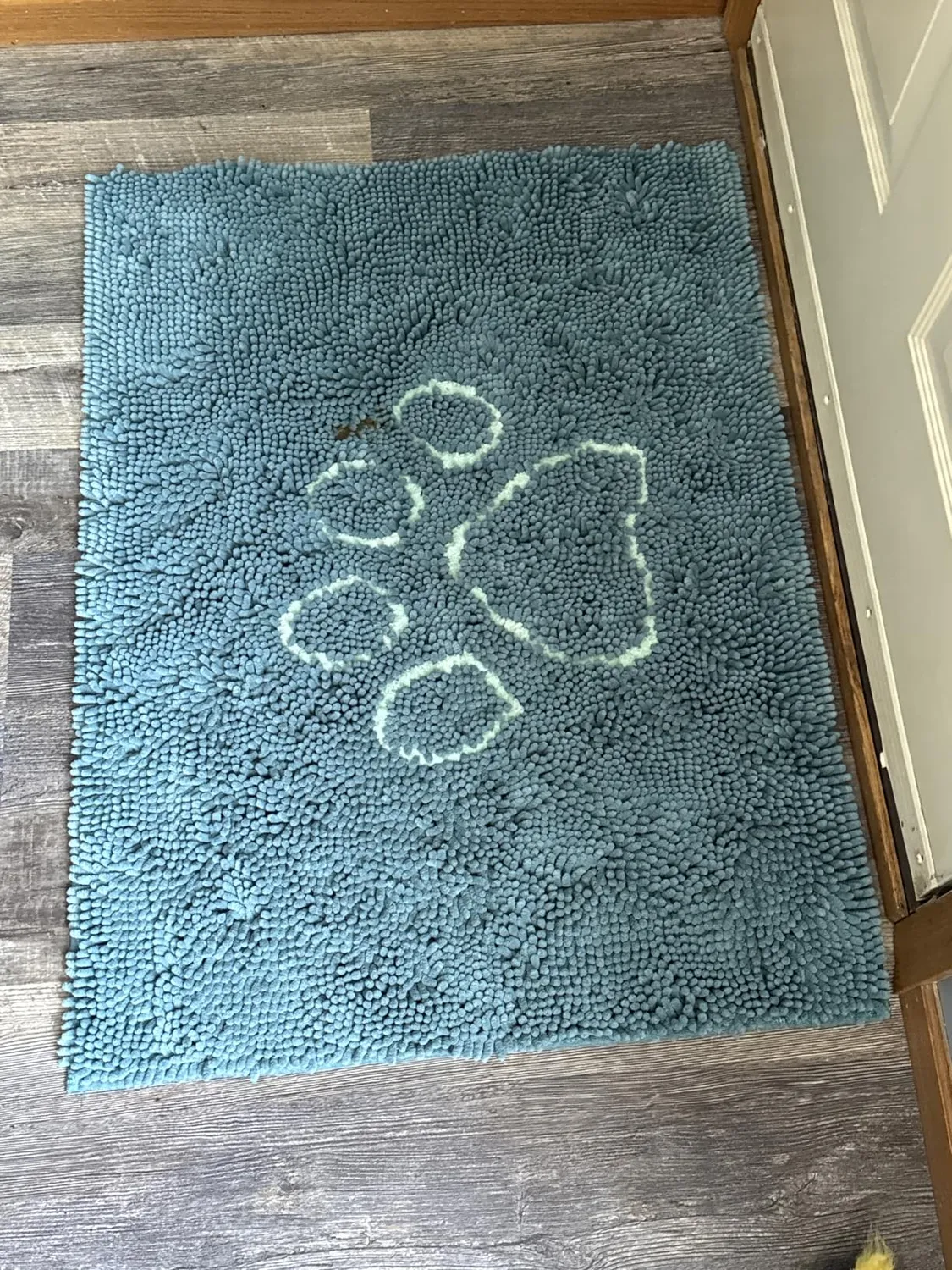 Dog Gone Smart Dirty Dog dørmåtte super absorberende
