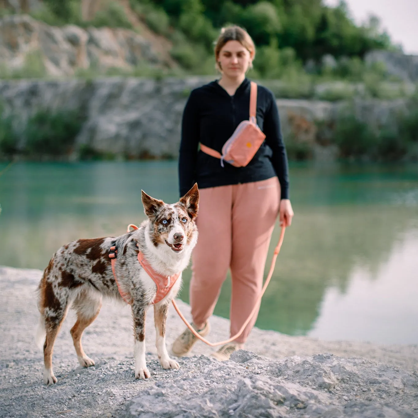 Woolly Wolf Roam hundesele lakserosa med frontklips
