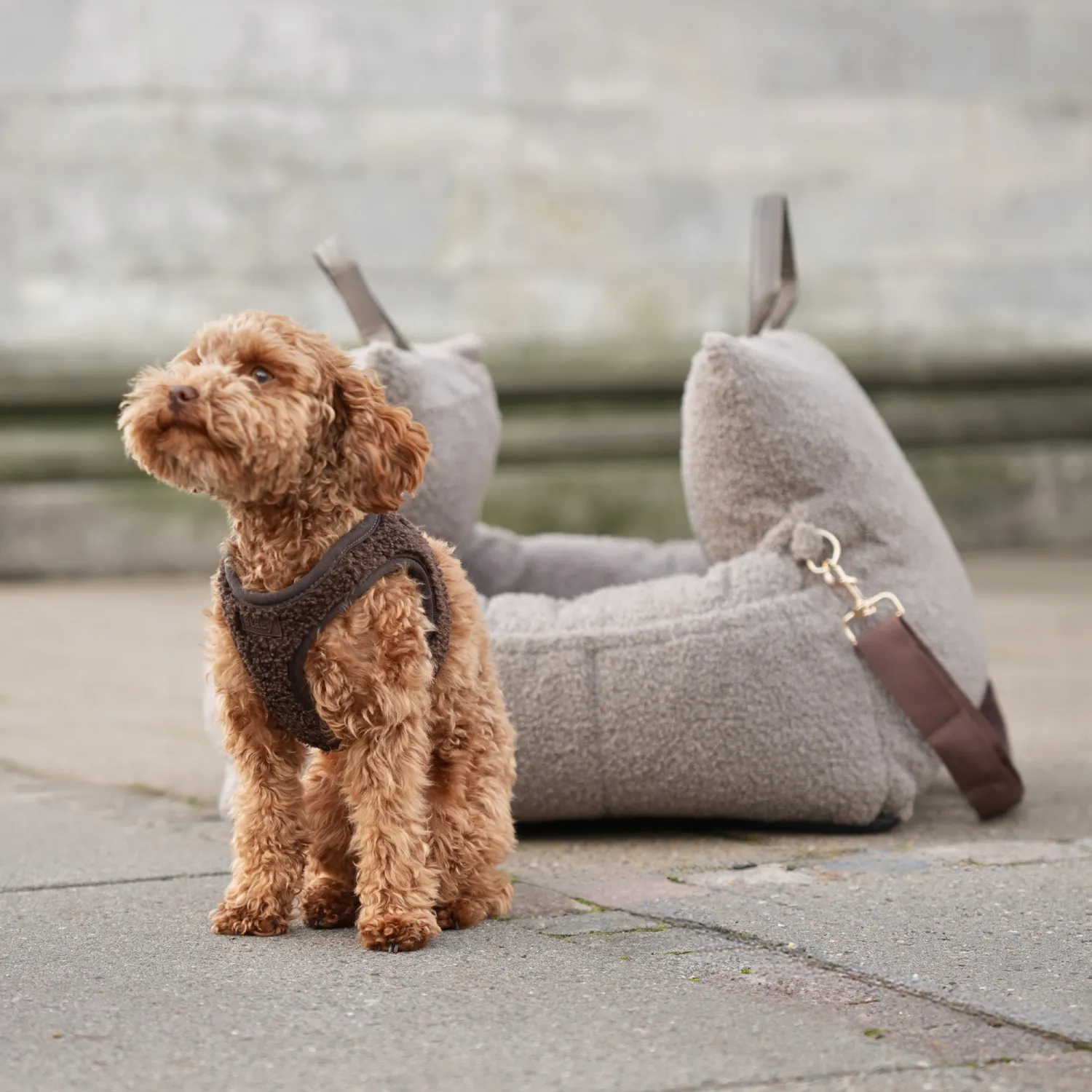 Staey Teddy Step-in hundesele Espresso blød