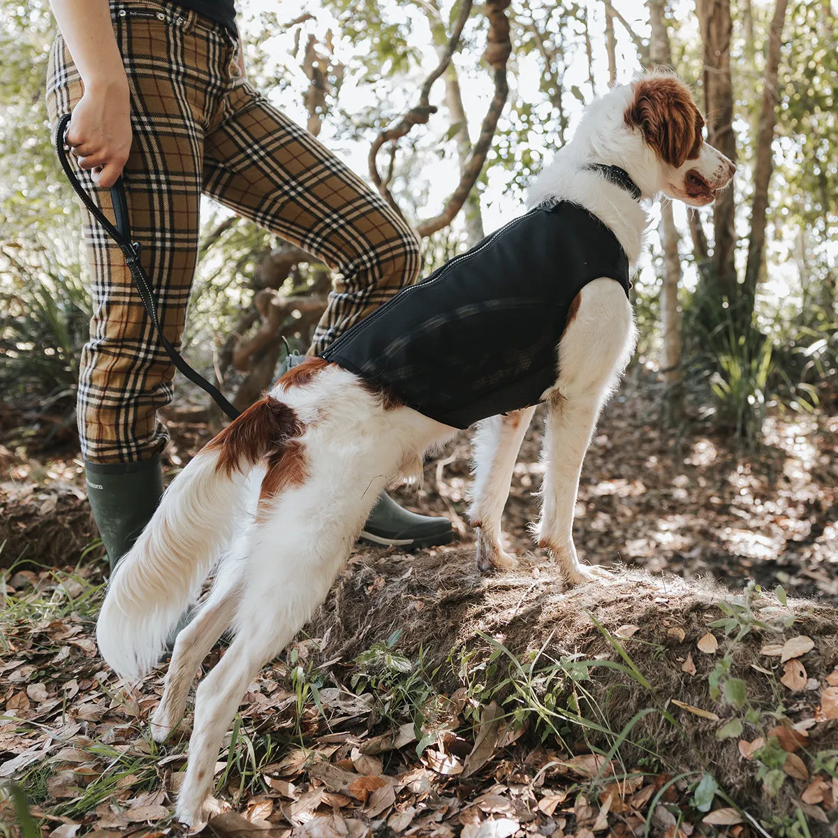 EzyDog Thermax hundevest isolerende sort