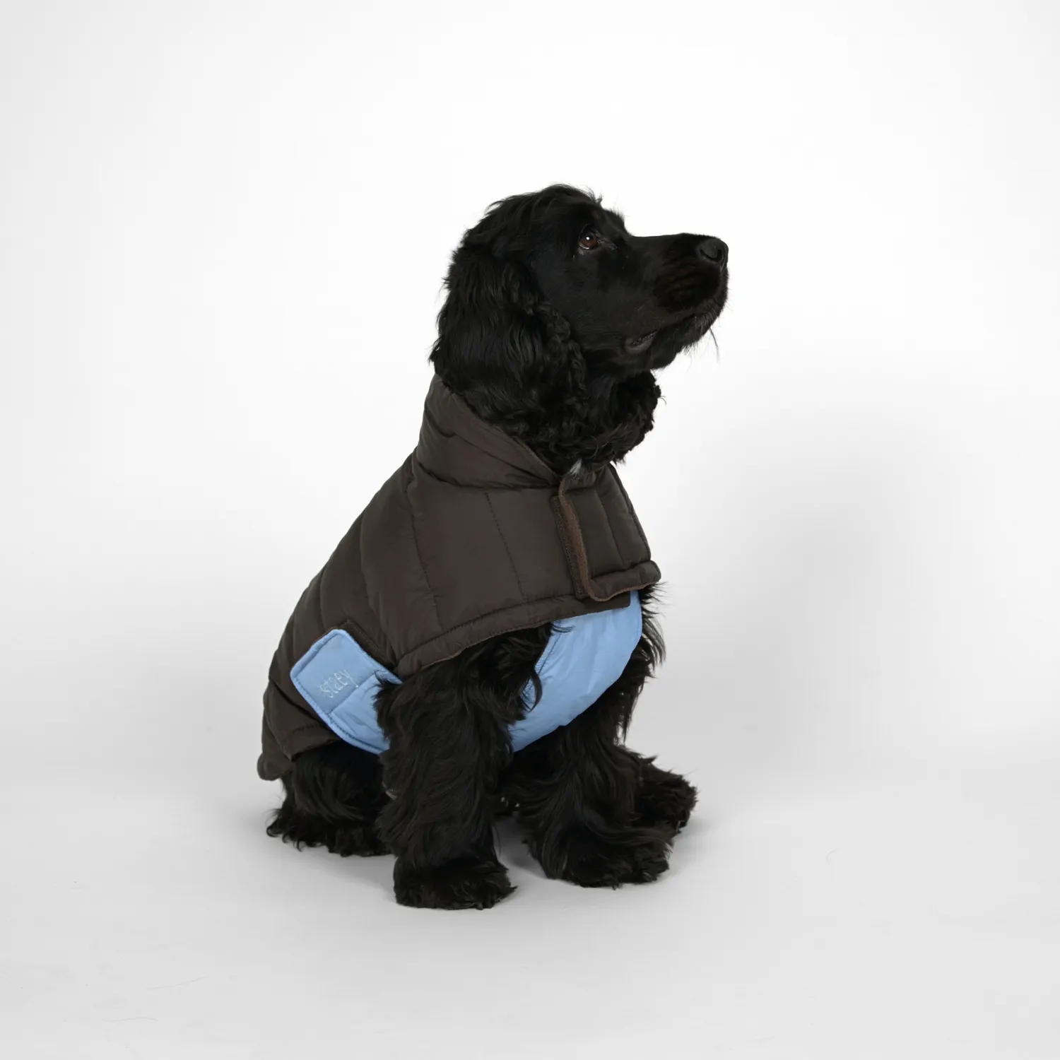 Staey Nora hundefrakke Espresso/Sky Blue varm vinter
