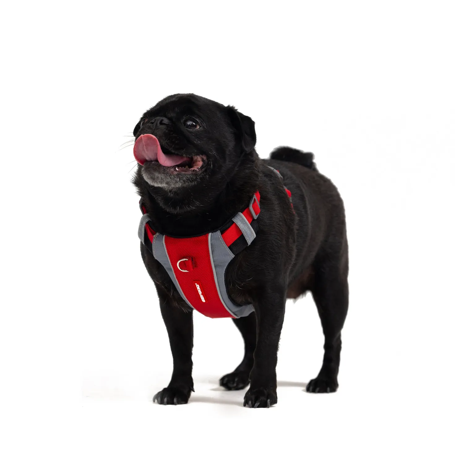 EzyDog X-Link hundesele anti-træk sort M