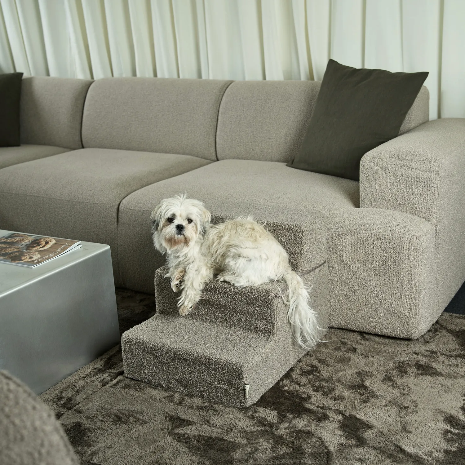 Staey Dog Stair hundetrappe Teddy – foldbar puf