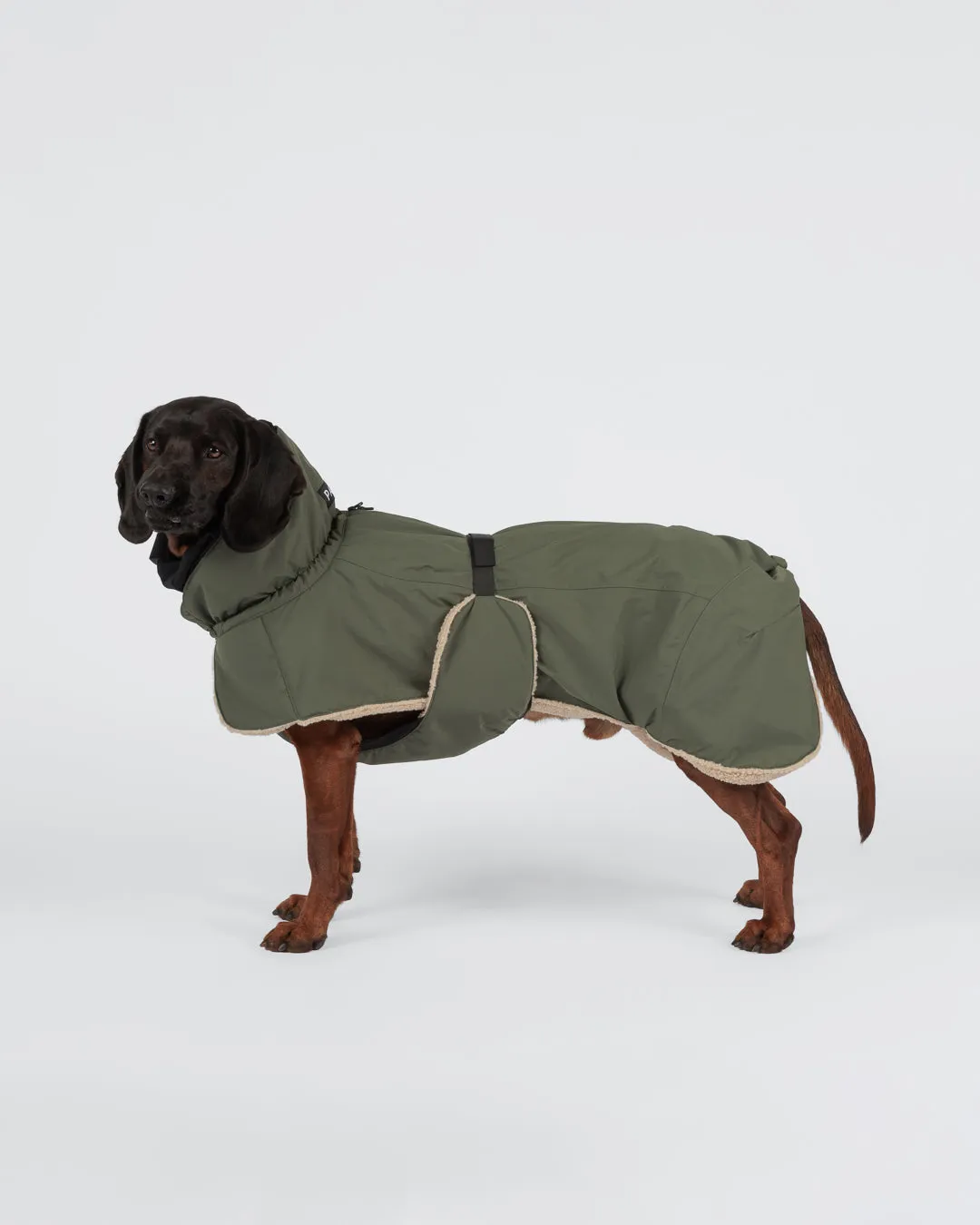 Paikka Kuura vinterjakke til hund Thyme varm