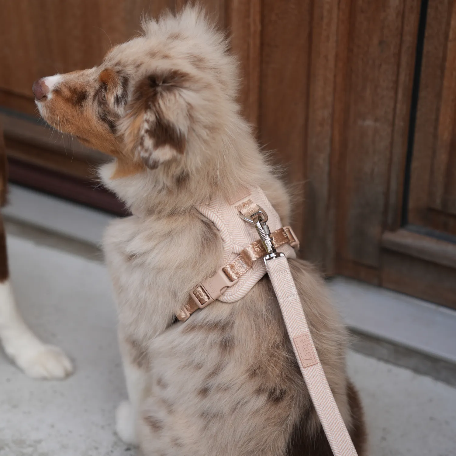 Staey Elma hundesele light rose ergonomisk