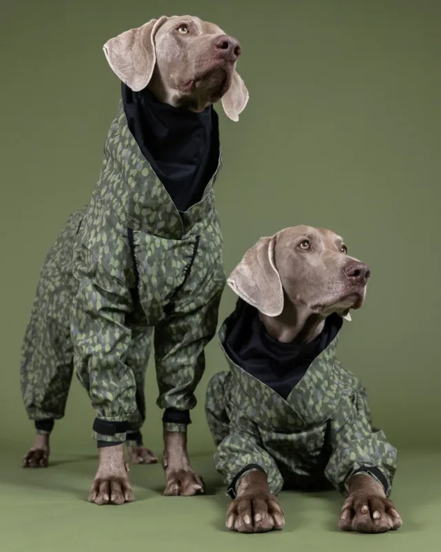 Paikka Rain Suit regndragt grøn reflekterende