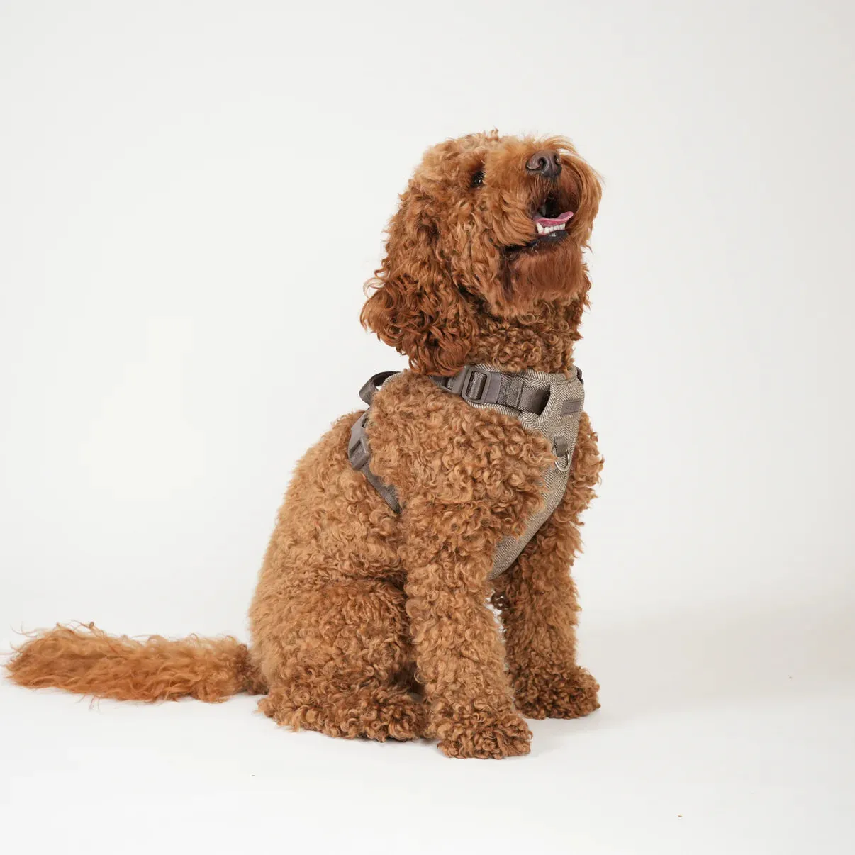 Staey Elma hundesele Mocca med håndtag
