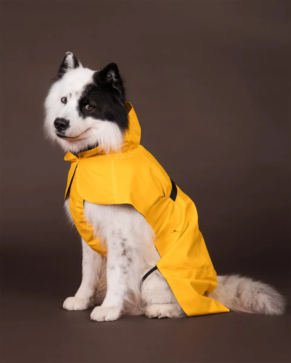 Paikka Visibility Raincoat hunderegnjakke gul reflekterende