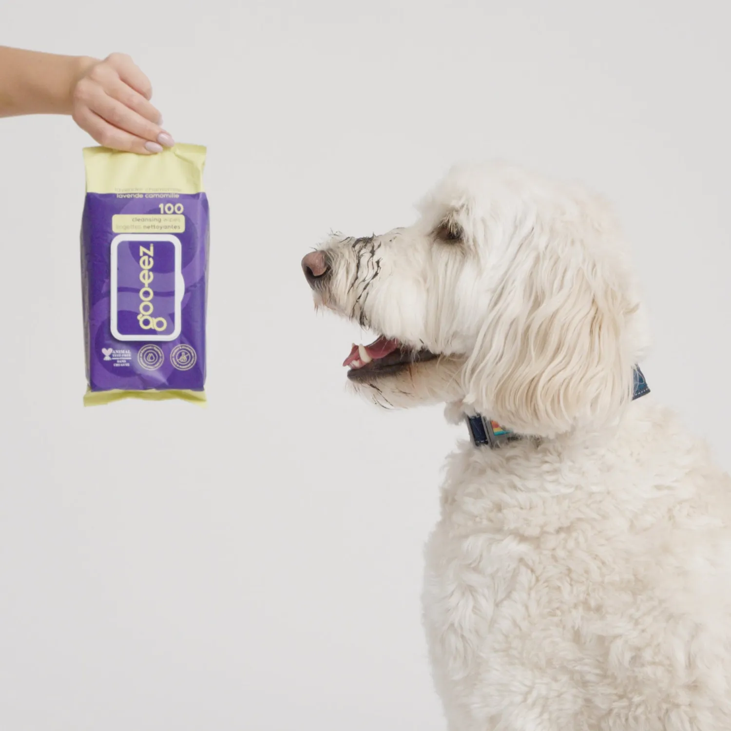 Goo-eez Premium rense-servietter til hund 100 stk